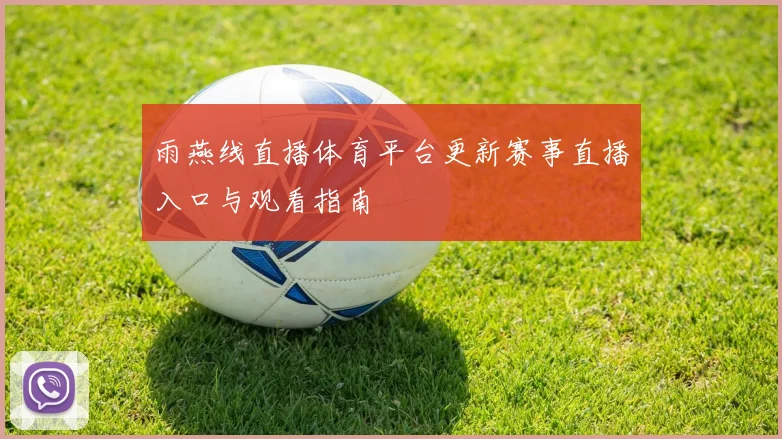 雨燕线直播体育平台更新赛事直播入口与观看指南