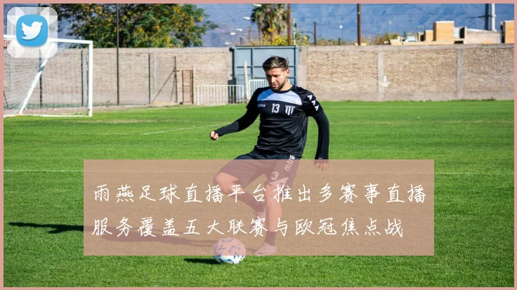 雨燕足球直播平台推出多赛事直播服务覆盖五大联赛与欧冠焦点战