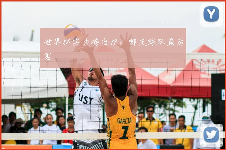 世界杯实力榜出炉,哪支球队最厉害