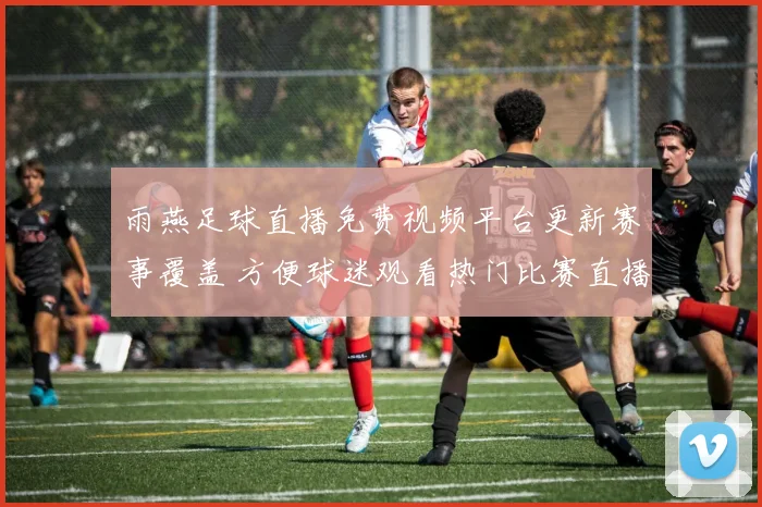 雨燕足球直播免费视频平台更新赛事覆盖 方便球迷观看热门比赛直播