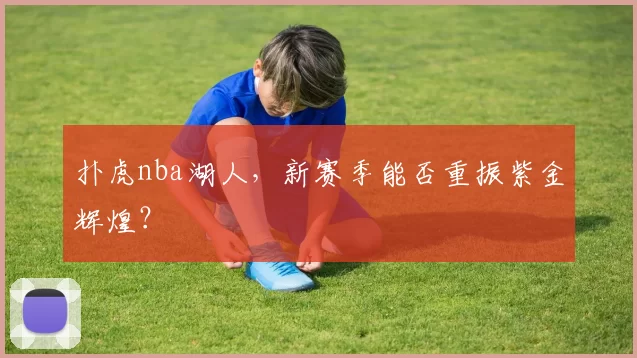 扑虎nba湖人，新赛季能否重振紫金辉煌？